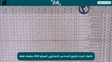 «إليك الآن» نتائج السادس الابتدائي العراق 2025 برقمك فقط